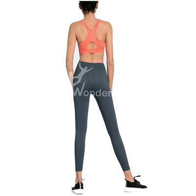 Front Zipper Closure Yoga Sportswear Bra High Waist Sport Leggings Women's